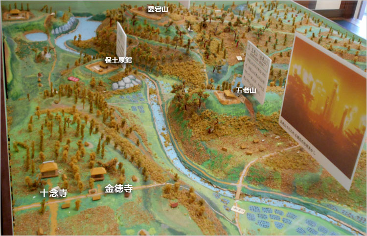 金徳寺と十念寺