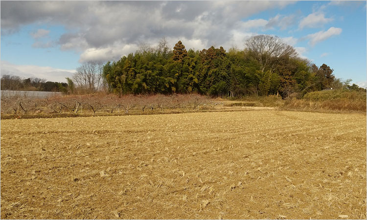 方八丁館の南端