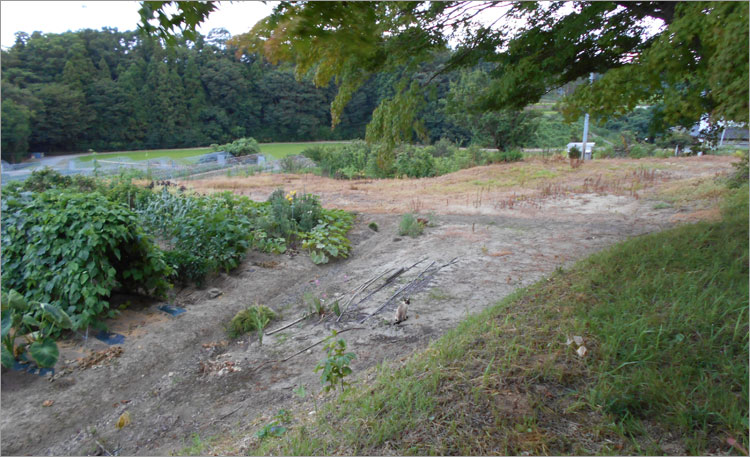 仁井田地区一夜舘の