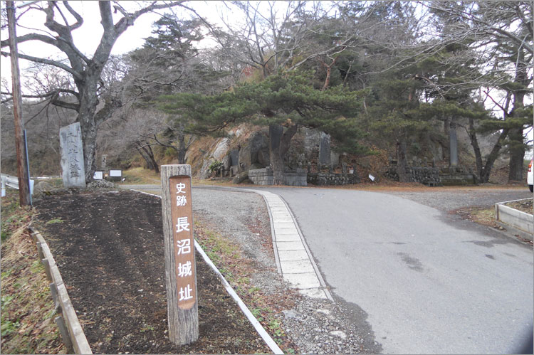 陸奥国 長沼城
