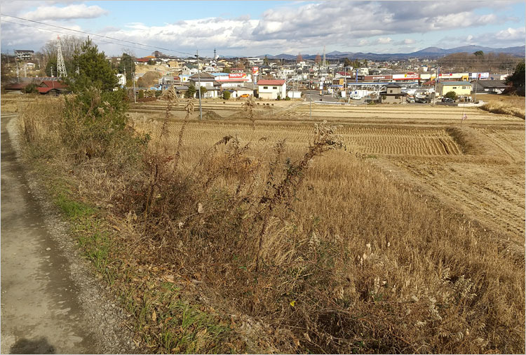 須賀川城を南側からみる