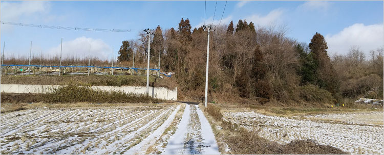 高久田館の遠景