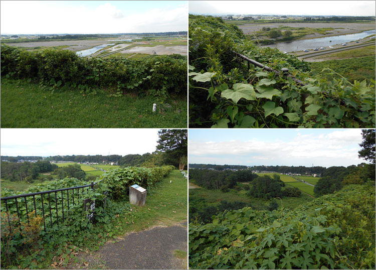 断崖絶壁の上、飛山城