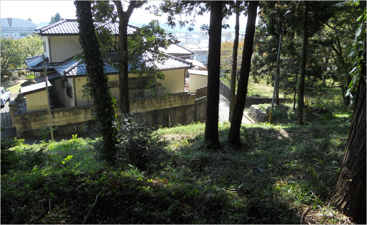 須賀川城が一望