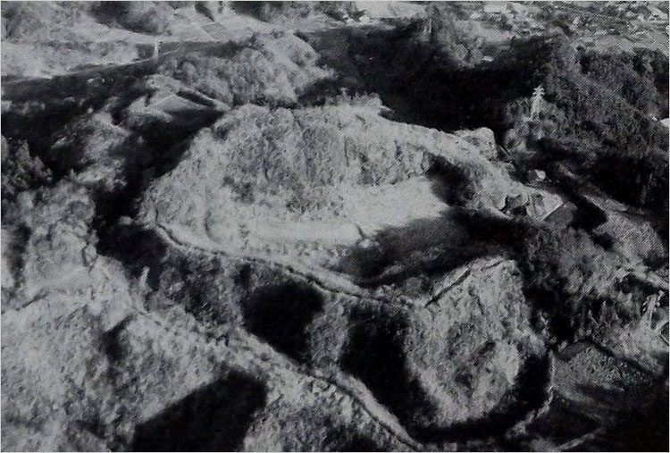 昭和30年頃の本丸跡