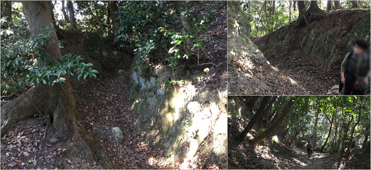 大仏切通に似た古道