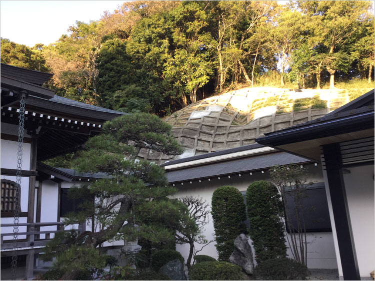 ふわん坂の丘陵地