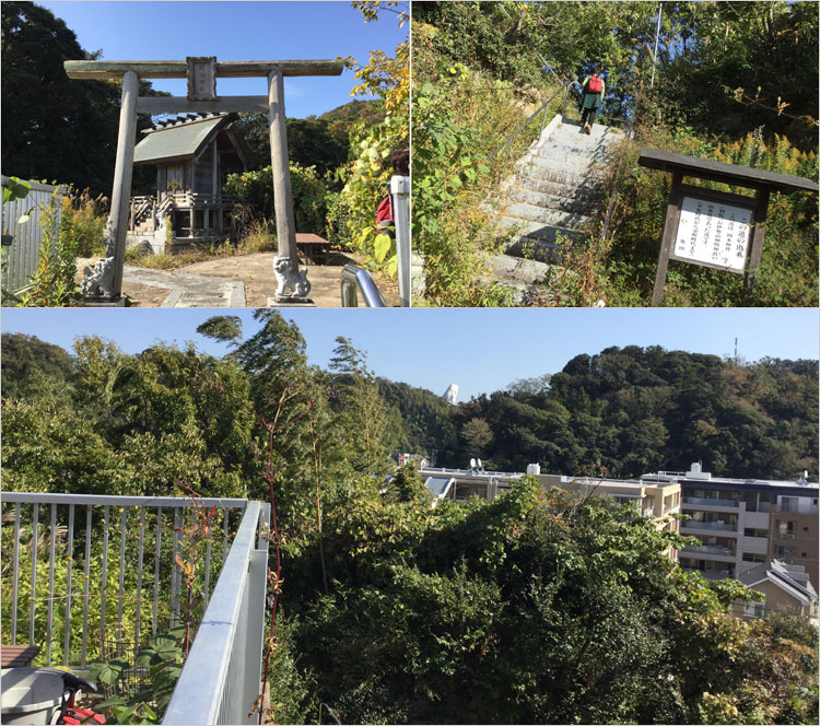 岡本神社に登ると、岡本砦とされる観音山の大船観音が眺望