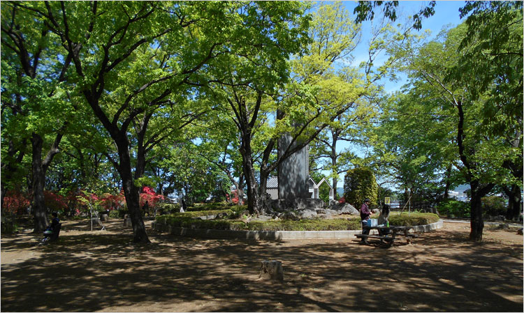 桐紋の瓦が出土