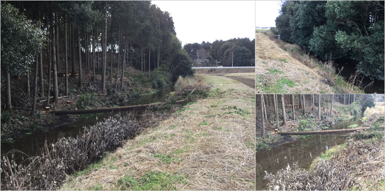 湿地帯だった名残