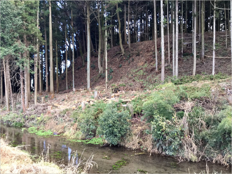 本丸を囲っている土塁