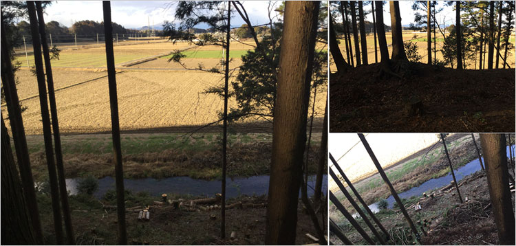 鬼怒川の湿地帯