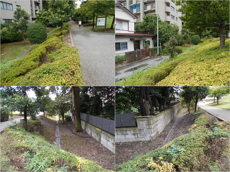 富士見櫓の下辺り（南西）