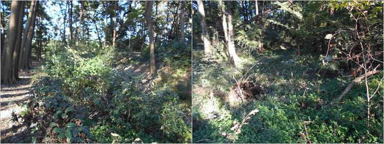 堀跡をざくざくと