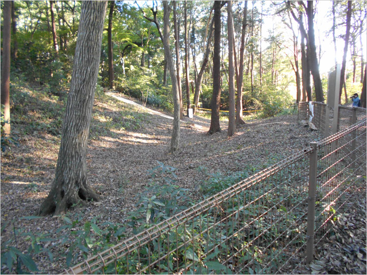 フェンスで囲まれ史跡保護