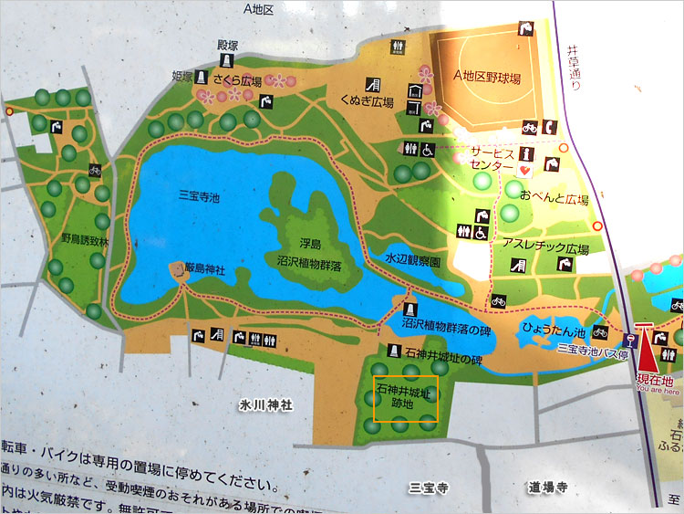 石神井公園の一部