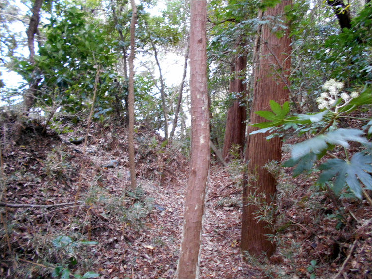 1～3郭の境目-堀切あと