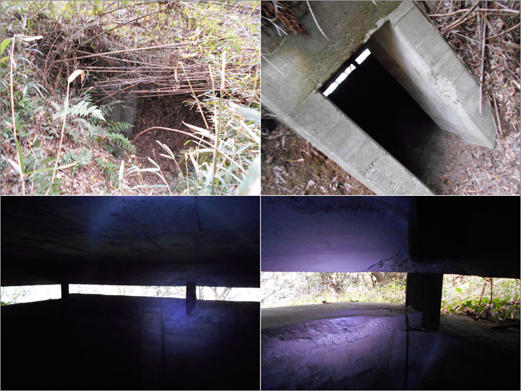 トーチカ内部に入ってみた