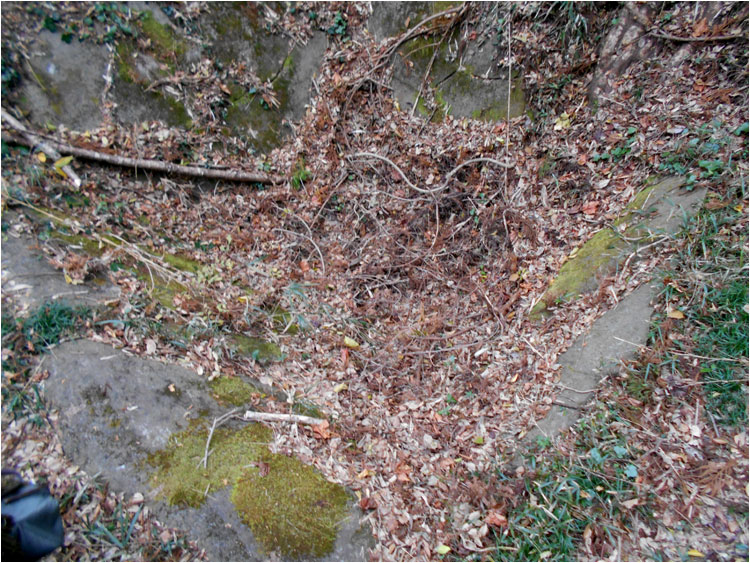 東金城におかれた史跡
