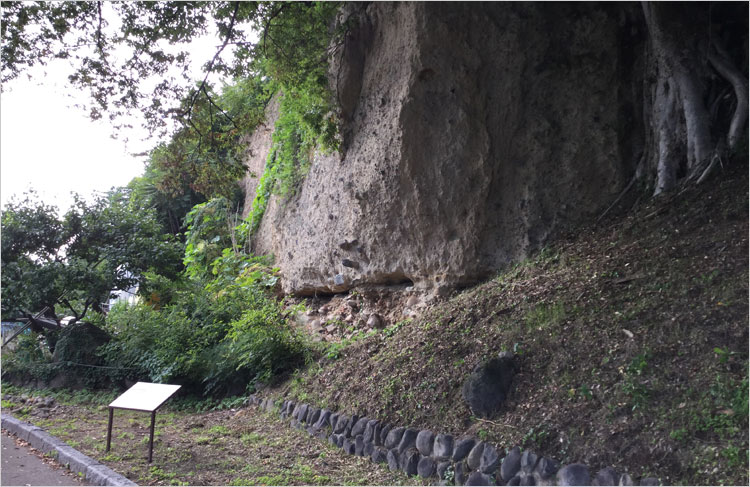 上田泥流層と下部の河床礫層
