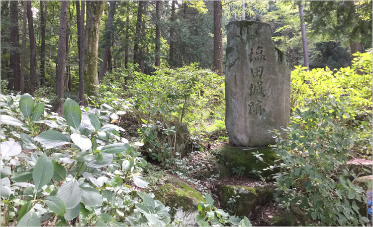 北条国時の墓、山頂に三十三所観音