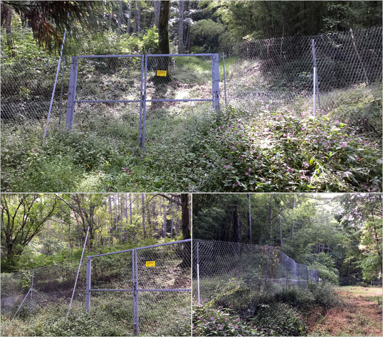 NEWいのしかクン