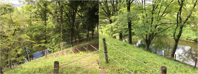 素掘りで掘り上げた土