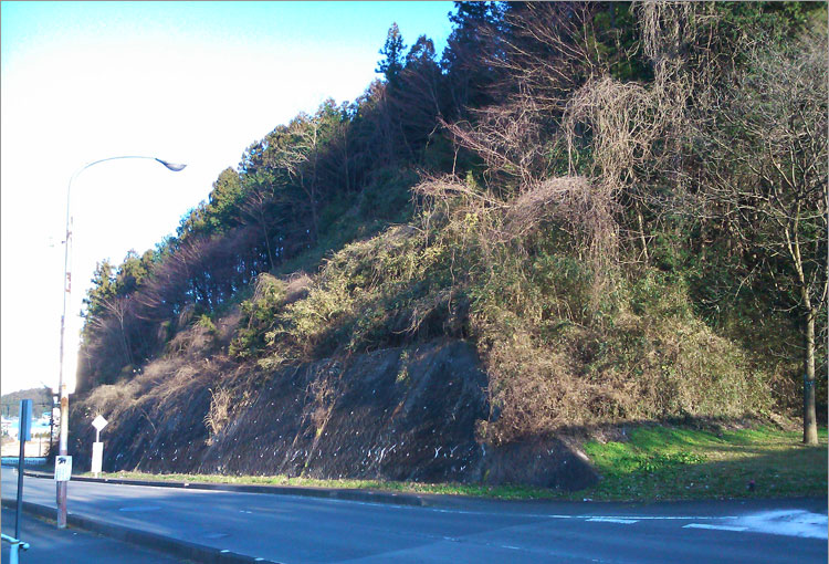 ここは名も無き川崎城と堀江山城の中間