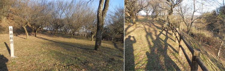 川崎城の南曲輪