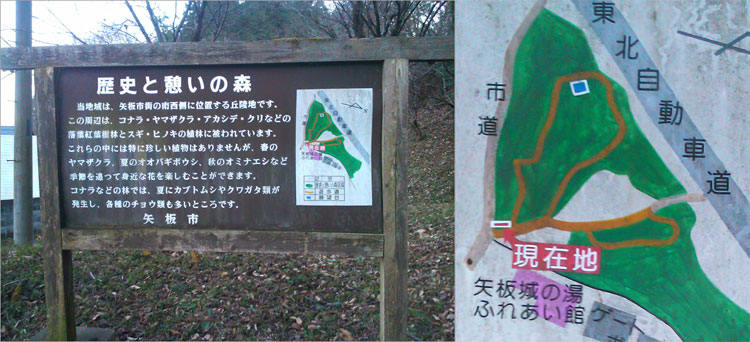 歴史と憩いの森