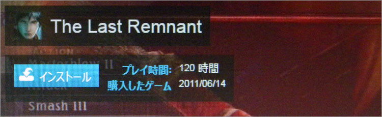 The Last Remnant
