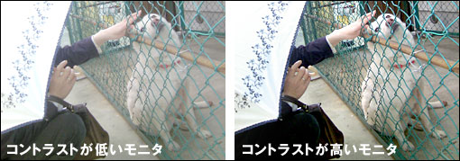 コントラスト比