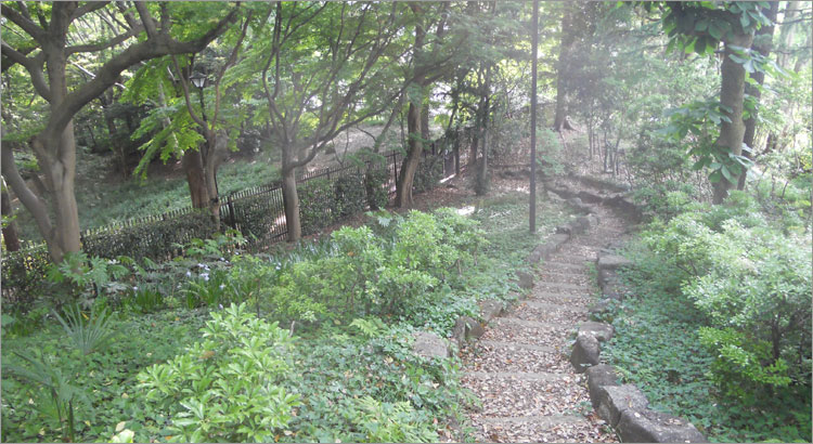 松戸城と千葉大学園芸学部