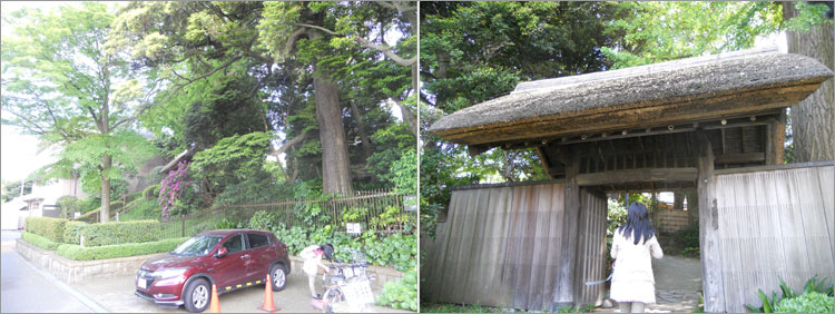 戸定が丘歴史公園景観