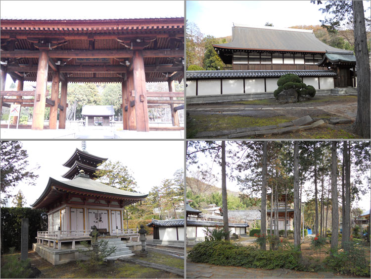 大井夫人の菩提寺