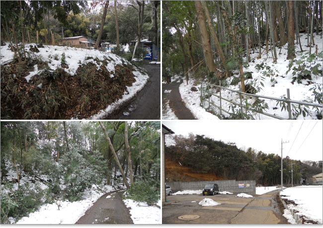 断崖の規模-金杉