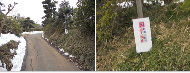 平野家-金杉城址