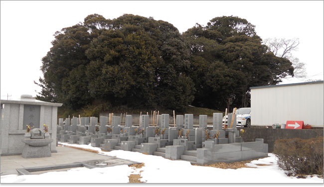 高根城遠景写真