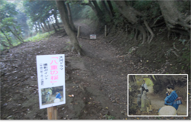 八重の桜では二本松への道中になった三舟山