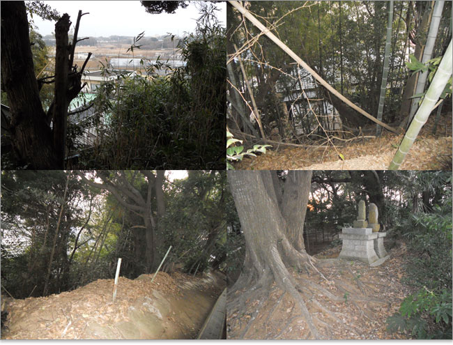 夏見城の丘陵斜面