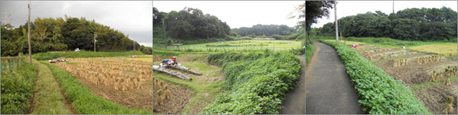 大原神社 大宮神社