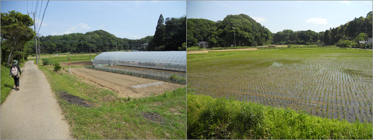 中池と呼ばれる池