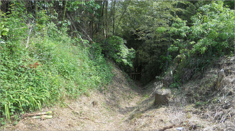 奥の山と倉跡の間