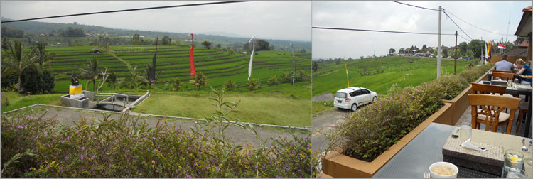 ジャティルウィ