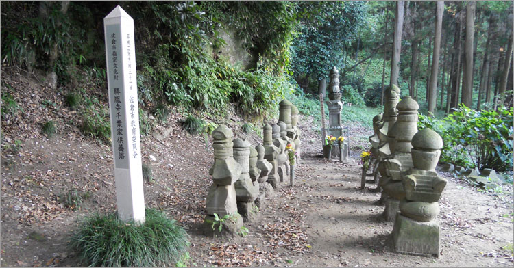 佐倉城主千葉胤富