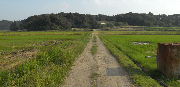 本佐倉城の遠景