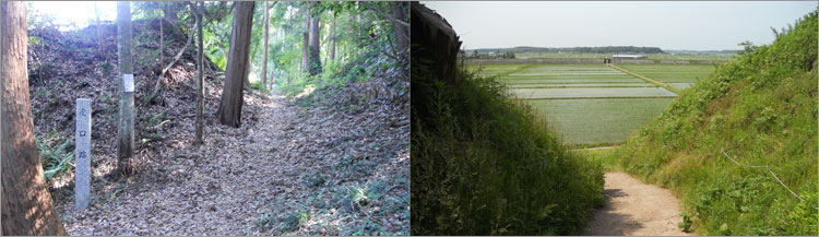 本佐倉城の虎口