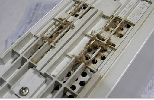 そのホコリにヤニがびっしり