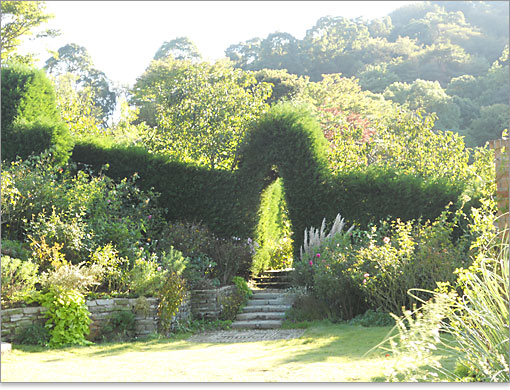 イングリッシュローズガーデン。