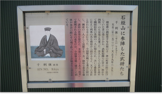 武将じゃありません茶人です、千利休